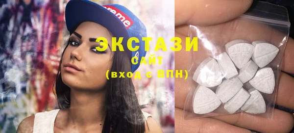 амф Ельня