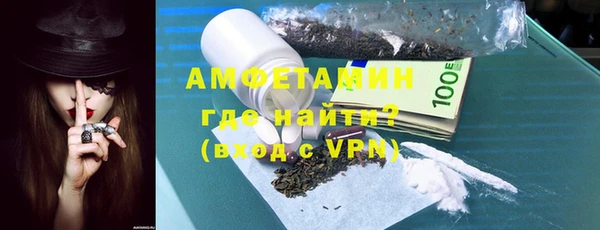 амф Ельня