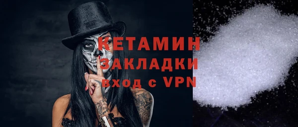 амф Ельня