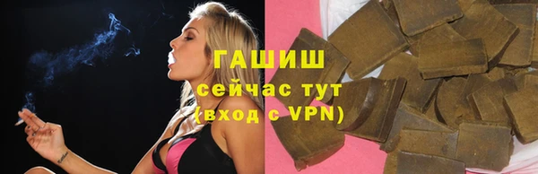 амф Ельня