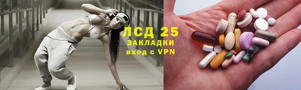 прущая мука Заполярный