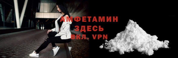 ГАЛЛЮЦИНОГЕННЫЕ ГРИБЫ Тайга