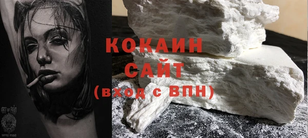 амф Ельня