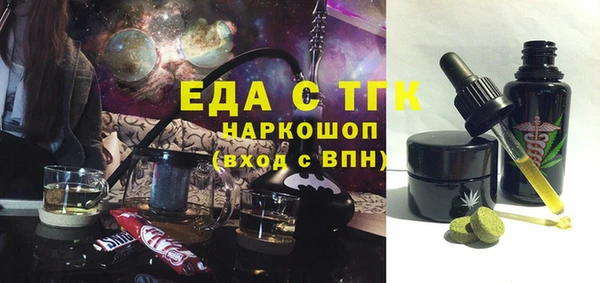 амф Ельня