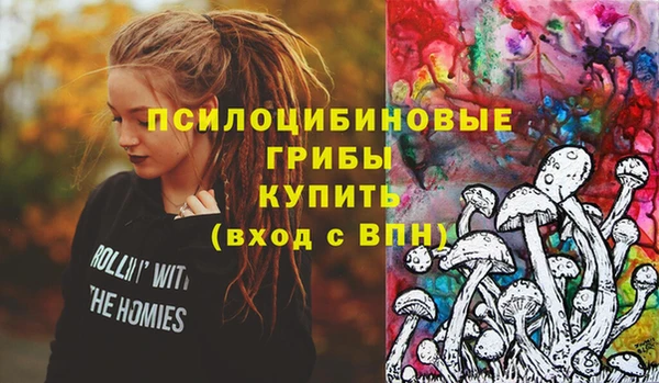 не бодяженный Елабуга