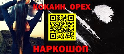 кокс Гатчина