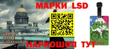 кокс Гатчина