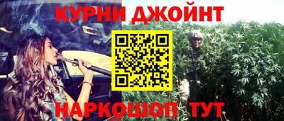 ешки Гай