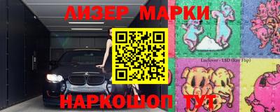 кокс Гатчина