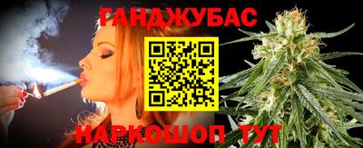 кокс Гатчина