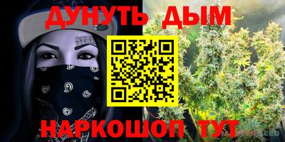 кокс Гатчина