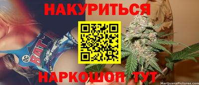 ешки Гай