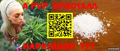 ешки Гай