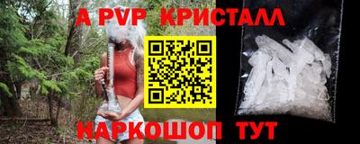 кокс Гатчина