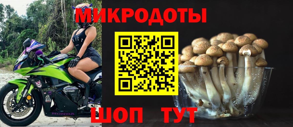 Электросталь  Галлюциногенные грибы GOLDEN TEACHER  Вход с VPN  Псилоцибиновые грибы Magic Shrooms 